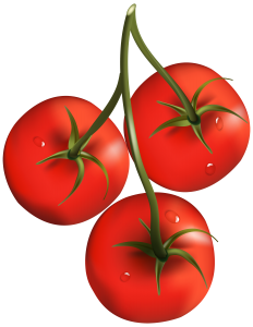 Tomatoes PNG-12597